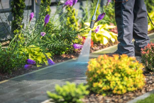 Best Parking Lot and Garage Cleaning  in Hill N Dale, FL